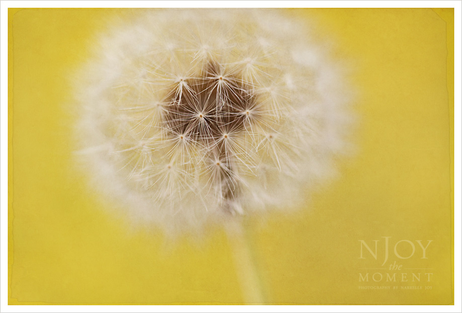 MakeAWish